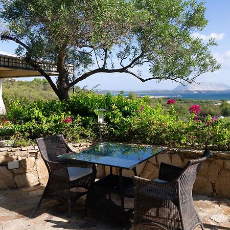 Villa Minda Lodge & View Сан-Теодоро Экстерьер фото