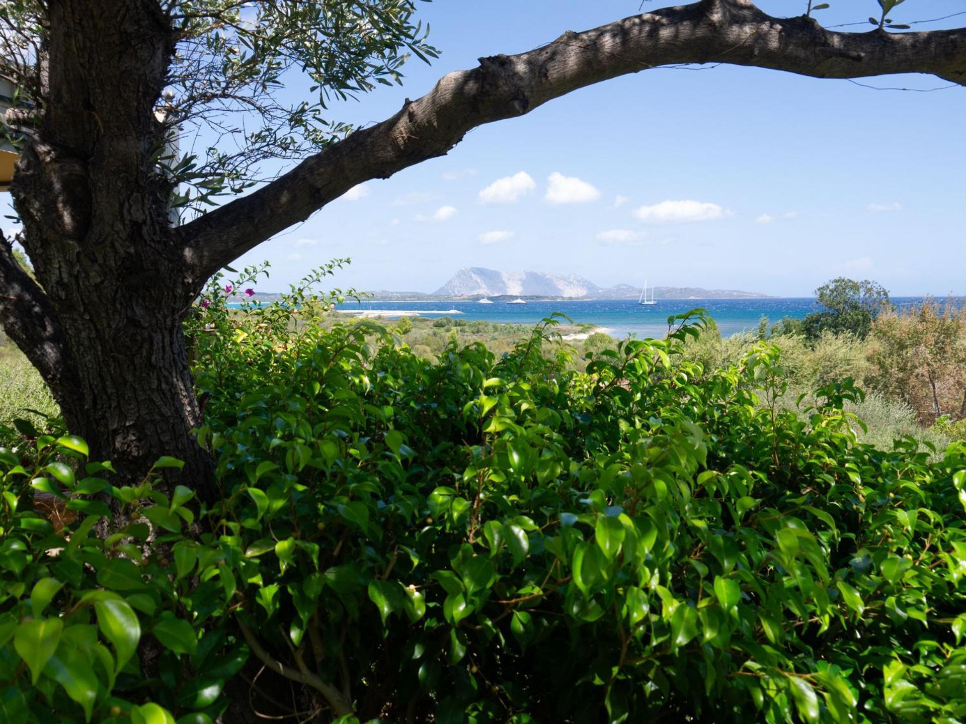 Villa Minda Lodge & View Сан-Теодоро Экстерьер фото